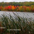 Today I give thanks
